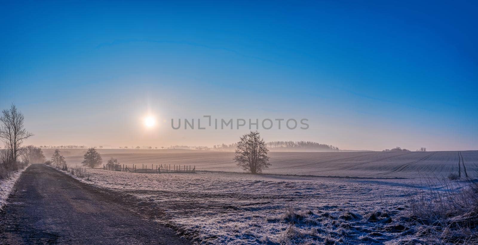 Misty and foggy winter landscape with a tree silhouette on a fog at sunrise, rural countryside, Vysocina region Czech Republic