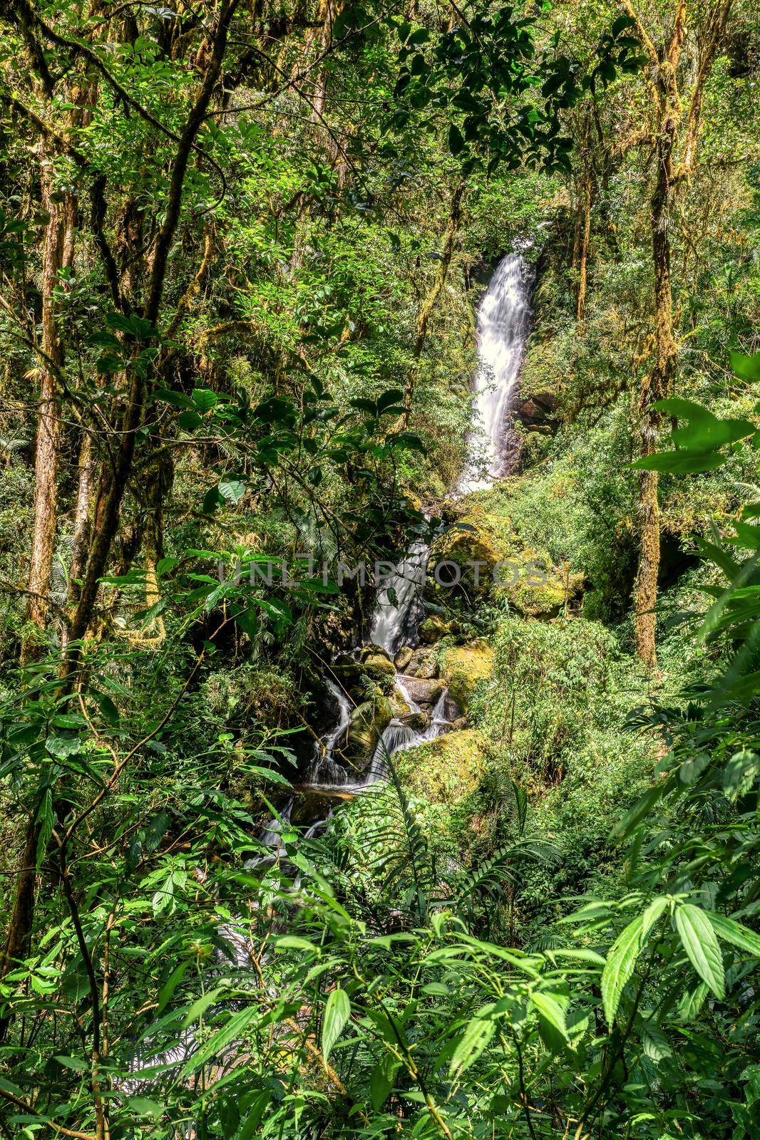 Waterfall on wild mountain river. San Gerardo de Dota, Costa Rica. by artush