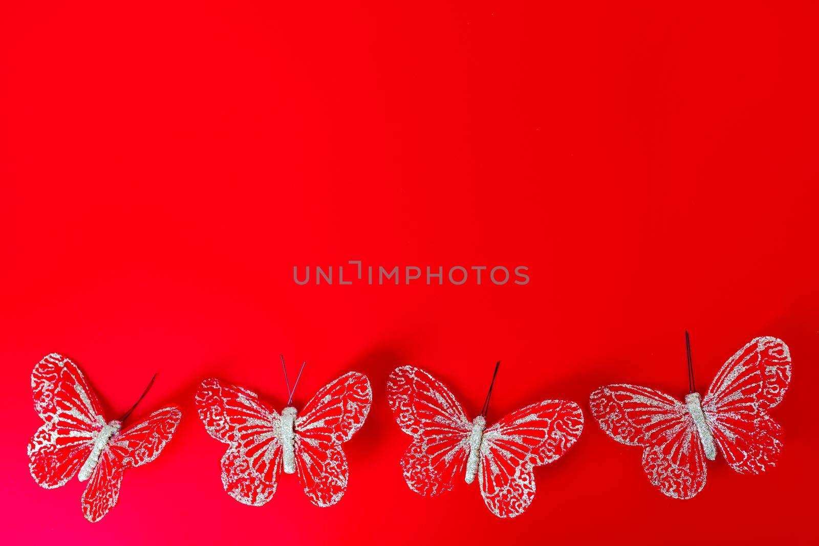 Valentine s day concept, red butterflies on red background. Greeting Cards. copy space. by lifesummerlin