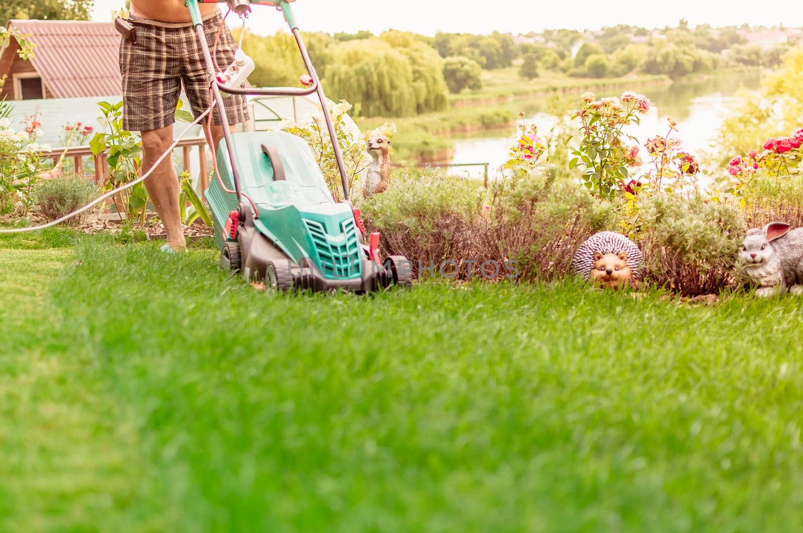 Natural background A man mows a lawn mower with a green lawn in his own garden near a flower garden in summer. Side view, horizontal. The concept of design, nature and landscaping.