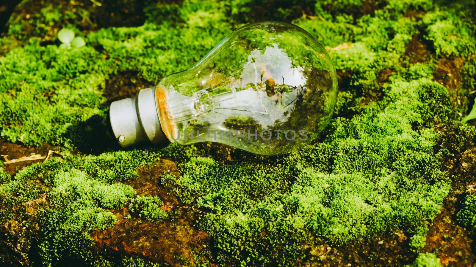 A fluorescent light bulb in sunlight on green nature background. Green business, economy, eco-industries start up ideas innovation background . Go Green to minimize human impact on environment concept by sudiptabhowmick