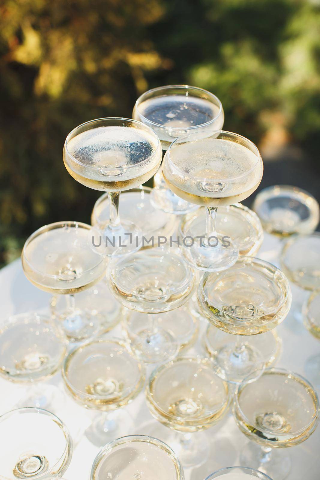 Beautiful hill with champagne at the Banquet for the newlyweds.