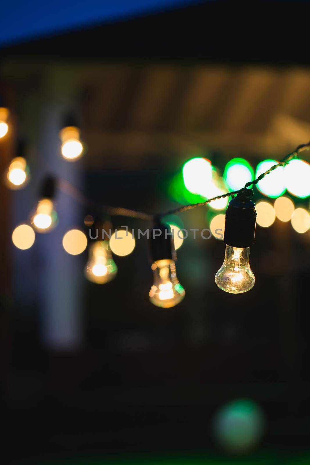 outdoor string lights hanging on a line in backyard. by StudioPeace