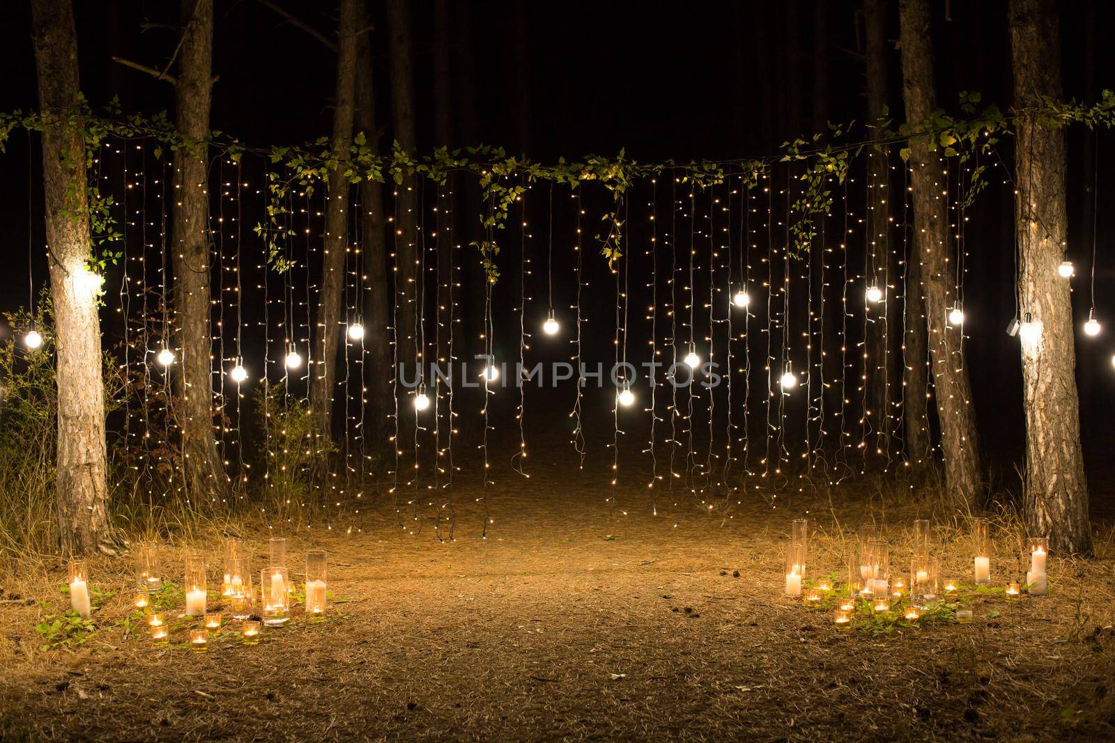 Wedding ceremony evening with candles and lamps in the coniferous pine forest. by StudioPeace