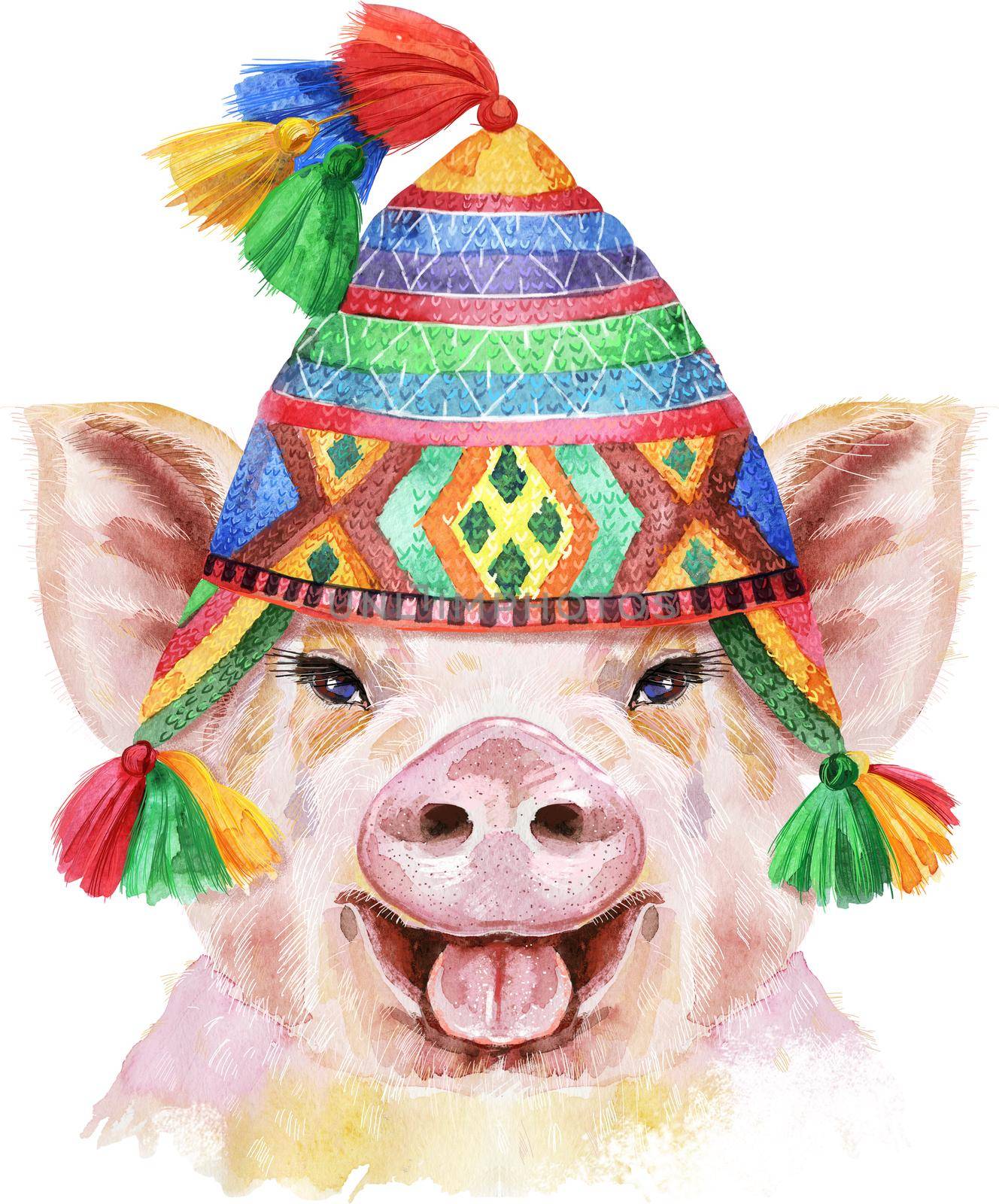 Watercolor portrait of pig in chullo hat by NataOmsk