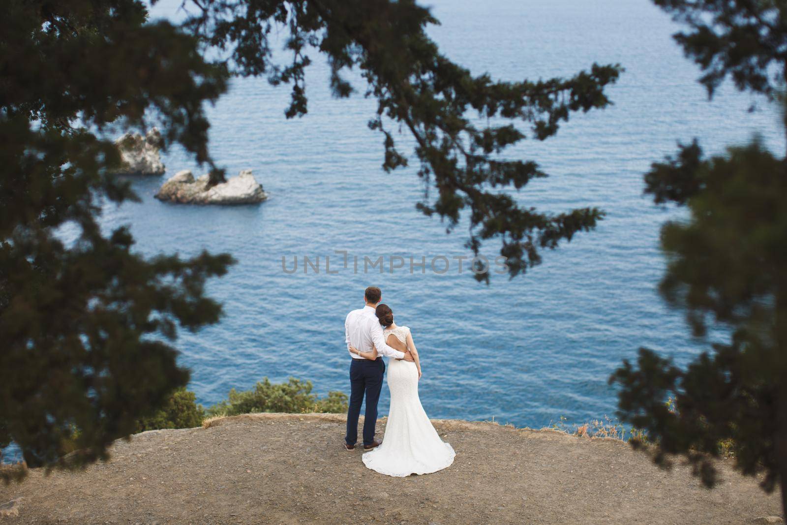 bride and groom on the precipice of the mountain. the ocean. sea.