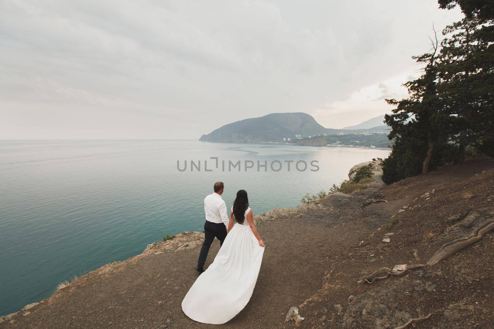 bride and groom on the precipice of the mountain. the ocean. sea by StudioPeace