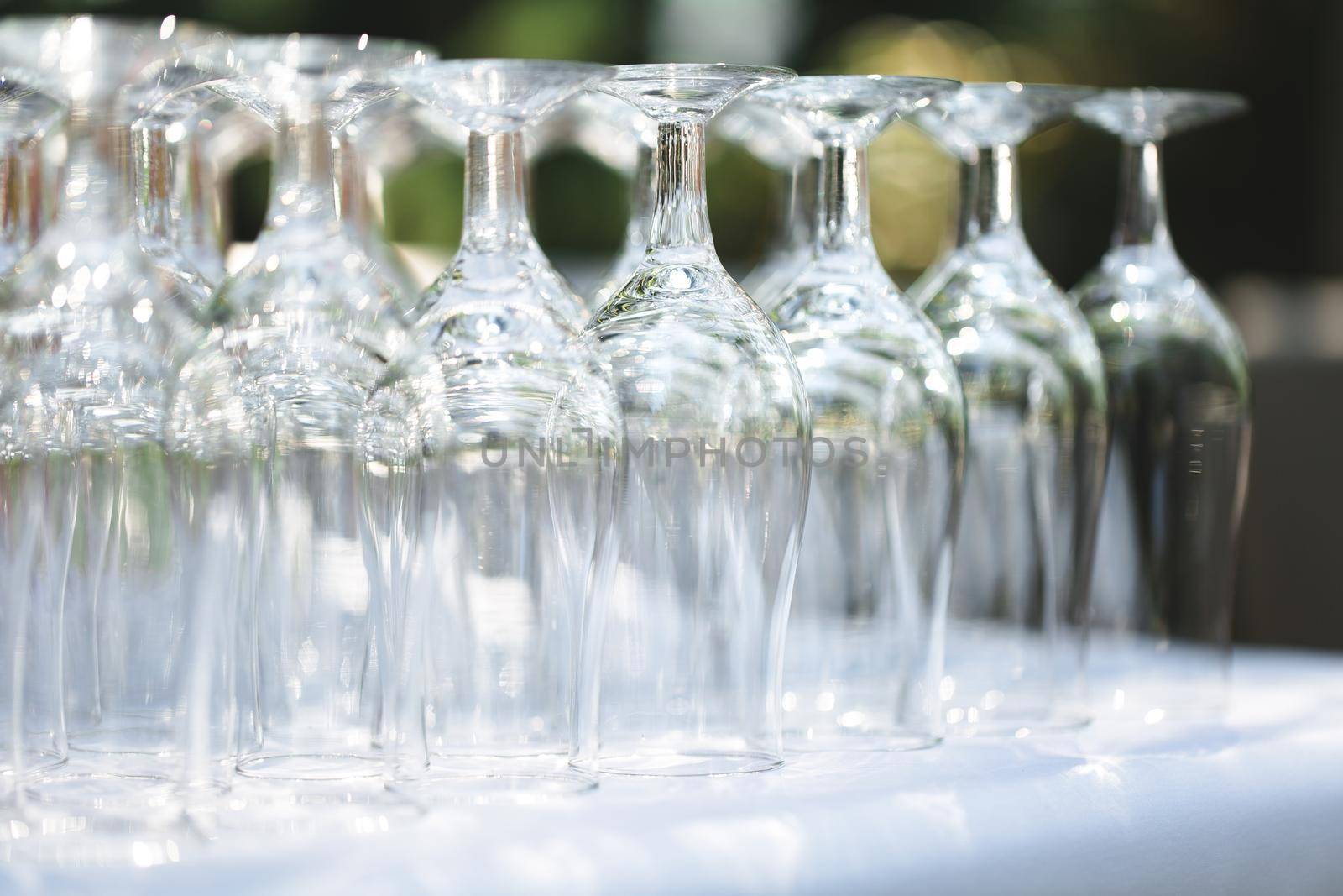 Set of blank empty wine glasses displayed in rows. Preparation for the holiday