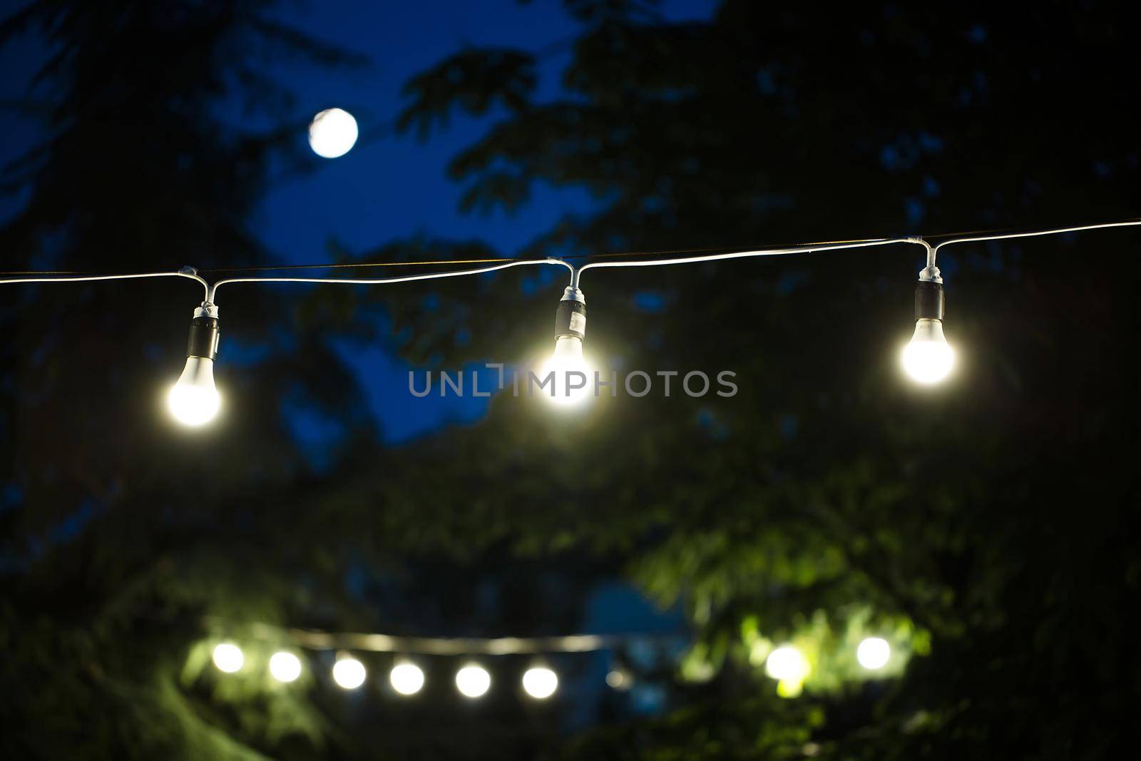 A garland of glowing light bulbs against the night sky.