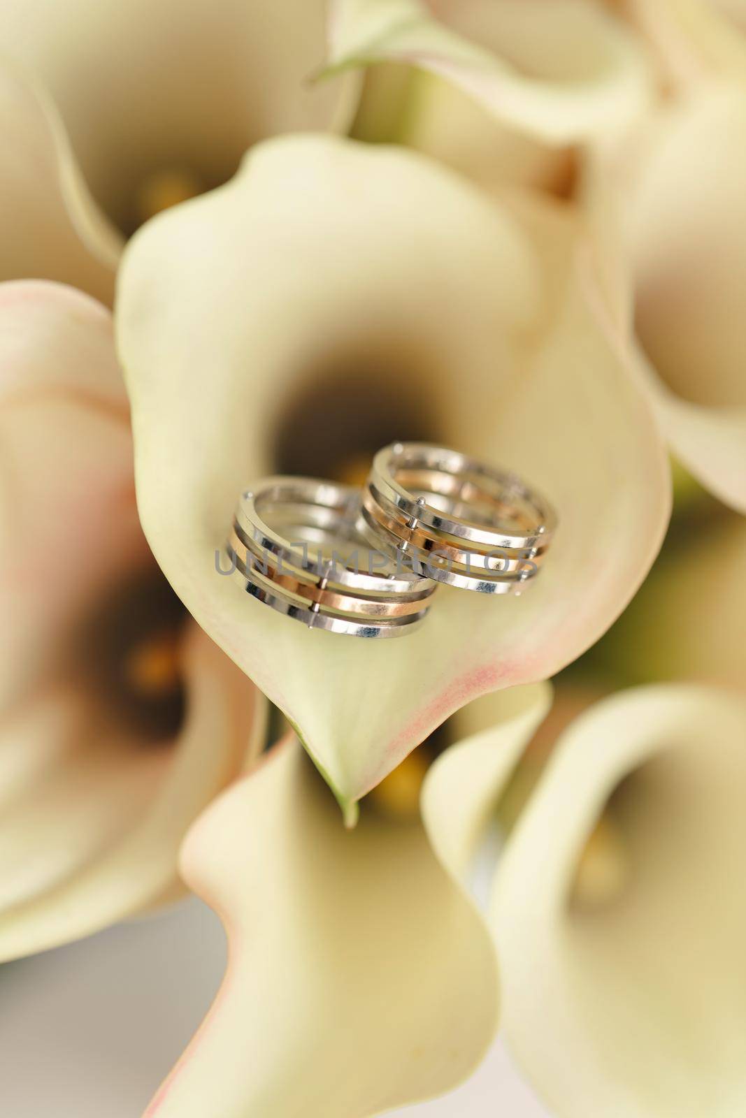 Wedding gold rings with a bouquet of calla lilies.