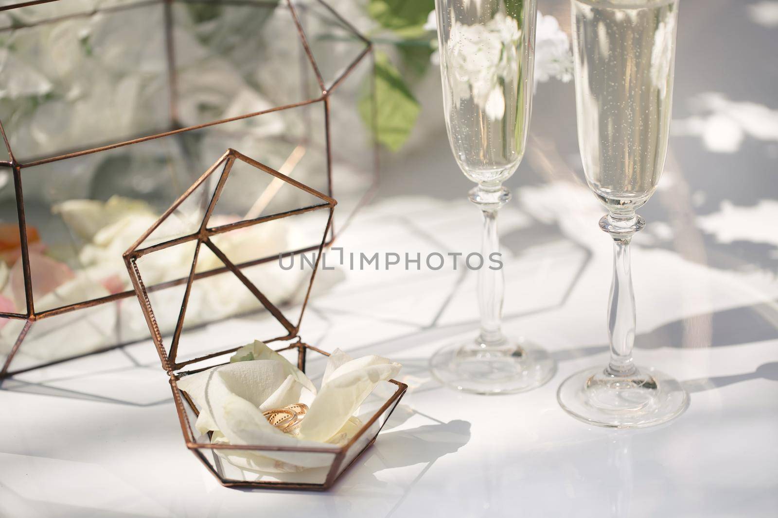 Two golden wedding rings in glass box