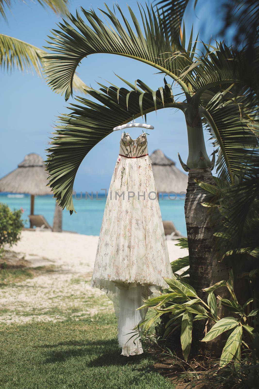 The wedding dress is hanging on a palm tree against the background of the ocean.