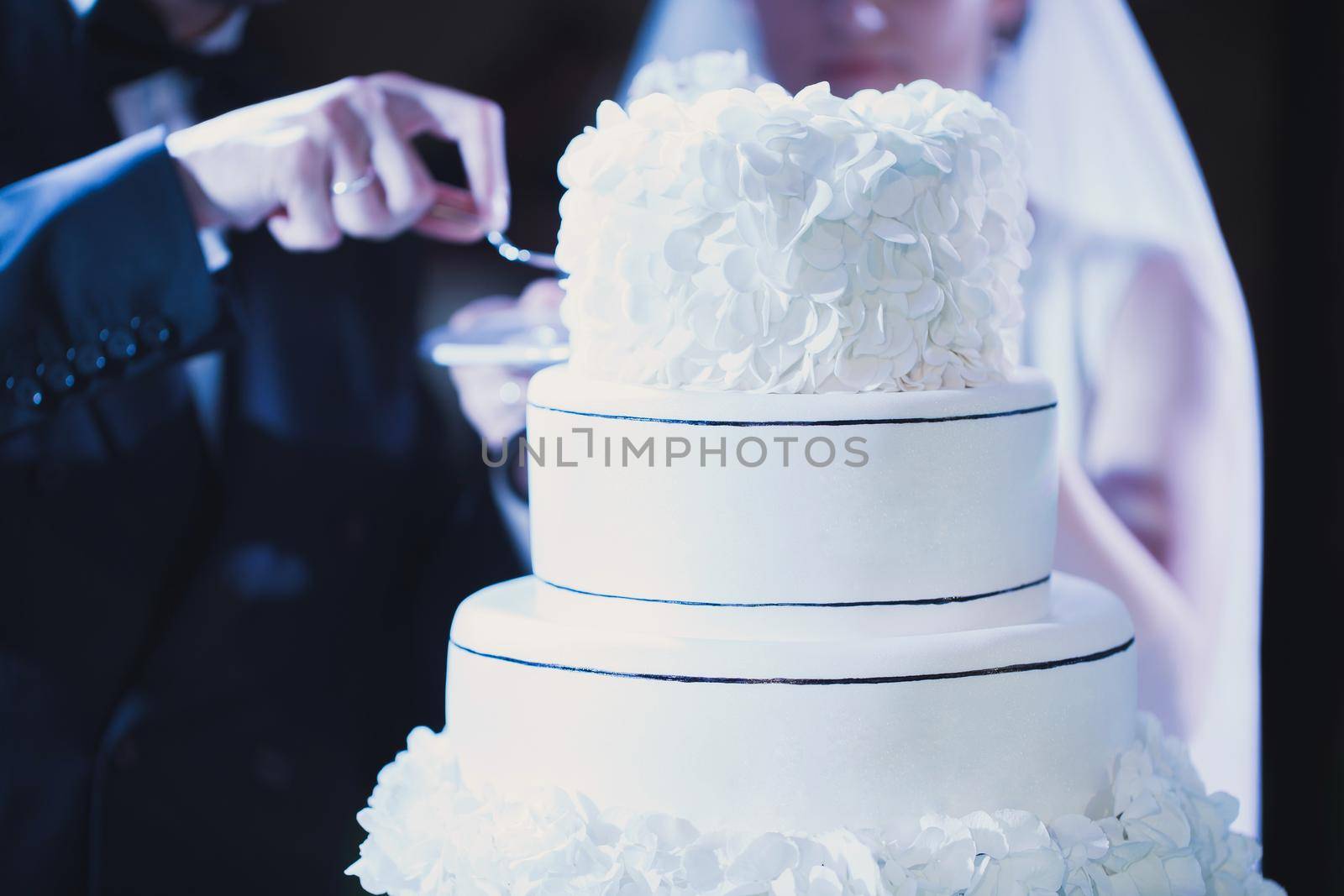 Bride and Groom at Wedding Reception Cutting the Wedding Cake