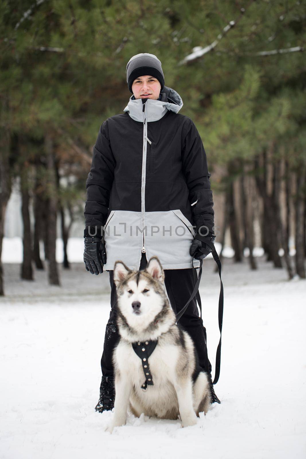 Happy man in winter forest with a dog. To play with the dog Siberian husky.