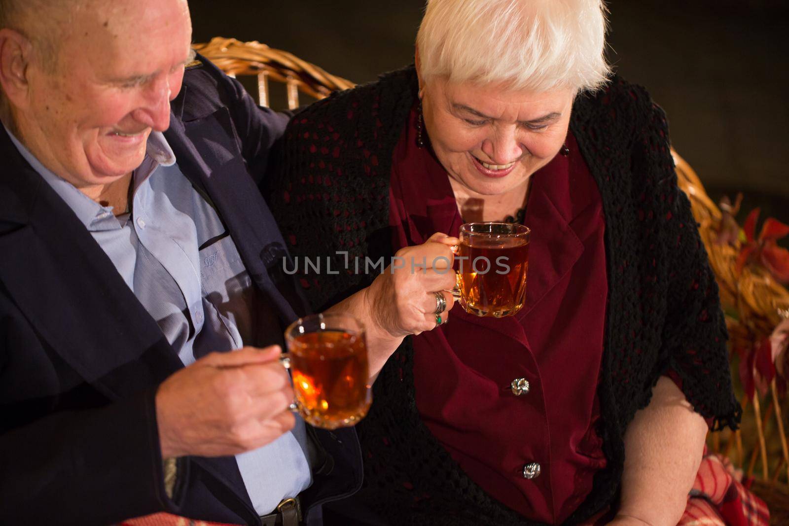 Grandpa and grandma drink tea in the Park by StudioPeace