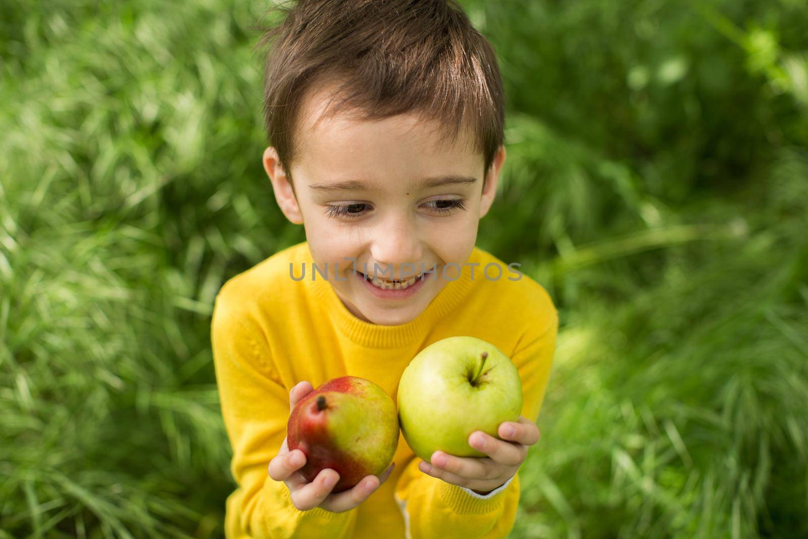 Cute little boy picking apples in a green grass background at sunny day. Healthy nutrition by StudioPeace