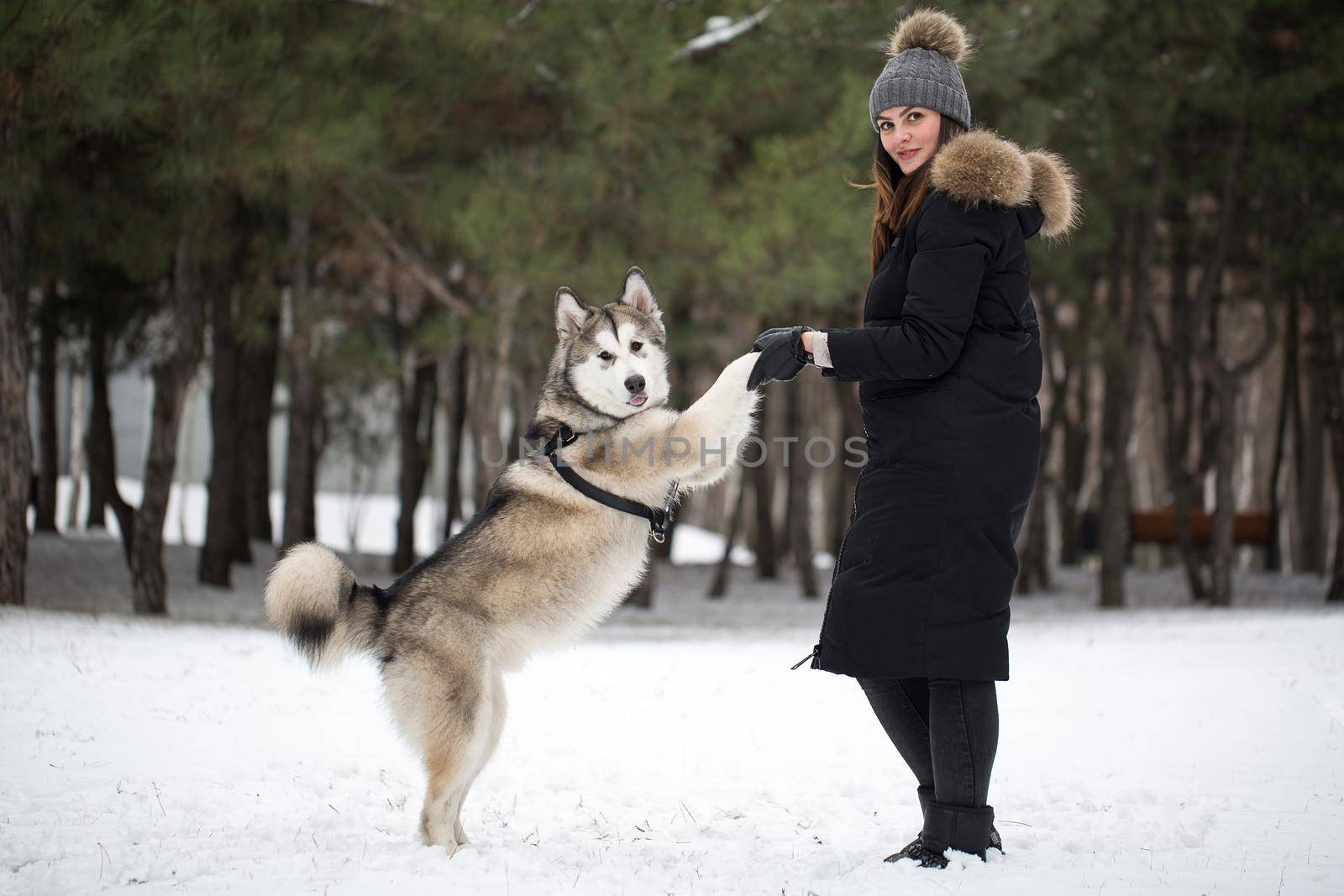 Beautiful girl in winter forest with dog. Play with the dog Siberian husky by StudioPeace