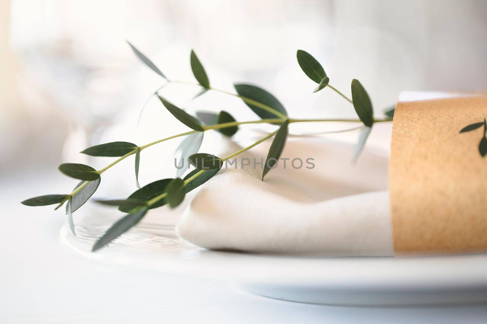 Close-up of a plate with a napkin and a sprig of pistachio tree on a festive table by StudioPeace