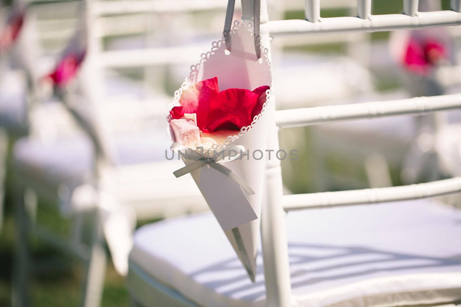 White chairs at the wedding ceremony with rose petals.