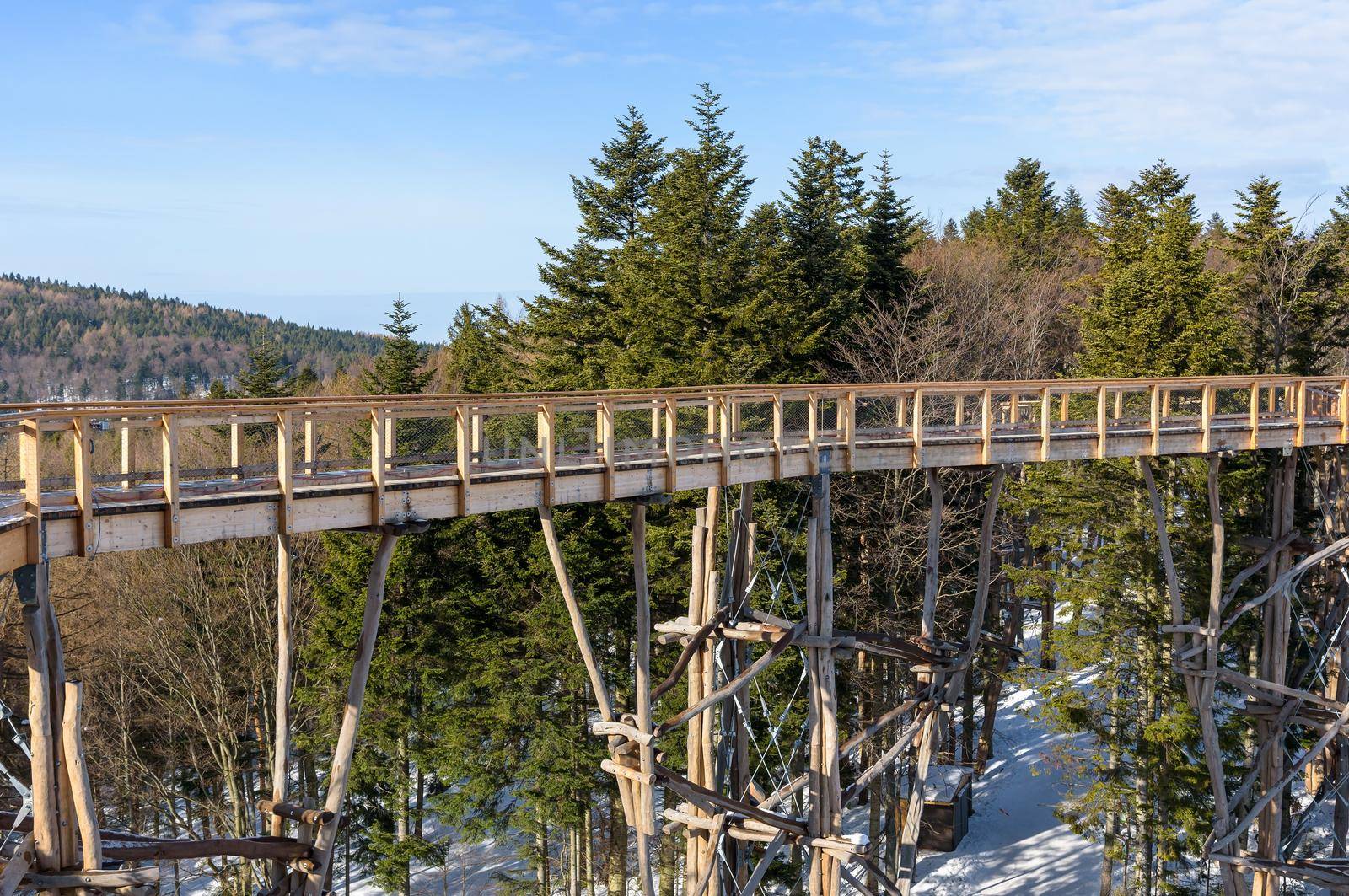 Wooden path of the treetop observation tower amogns the trees at Slotwiny Arena ski station in Krynica Zdroj, Poland