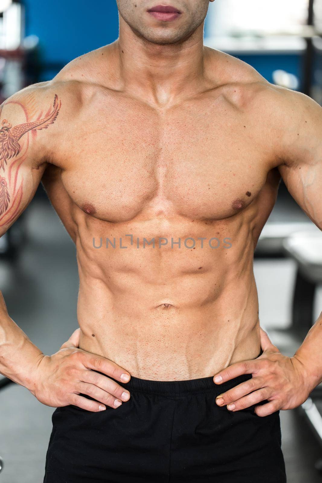 Bodybuilder posing for the camera in the gym. by StudioPeace