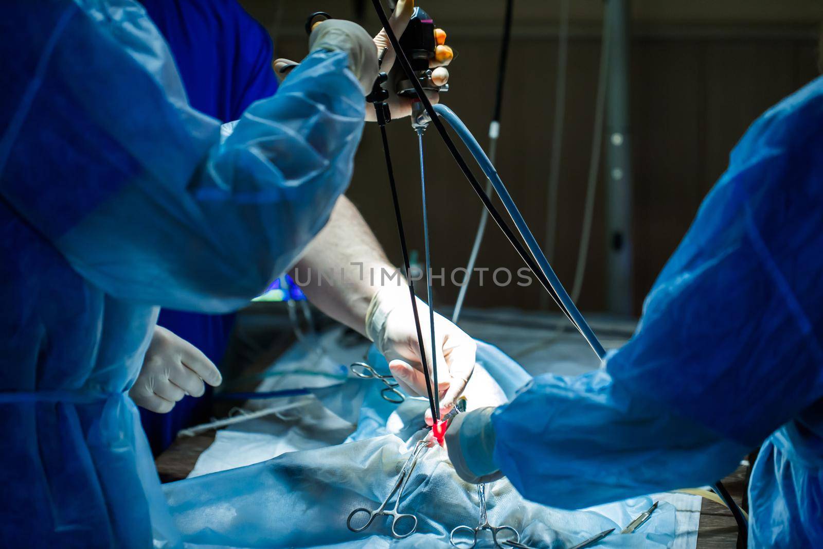 Veterinarian doctor in operation room for laparoscopic surgical take with art lighting.