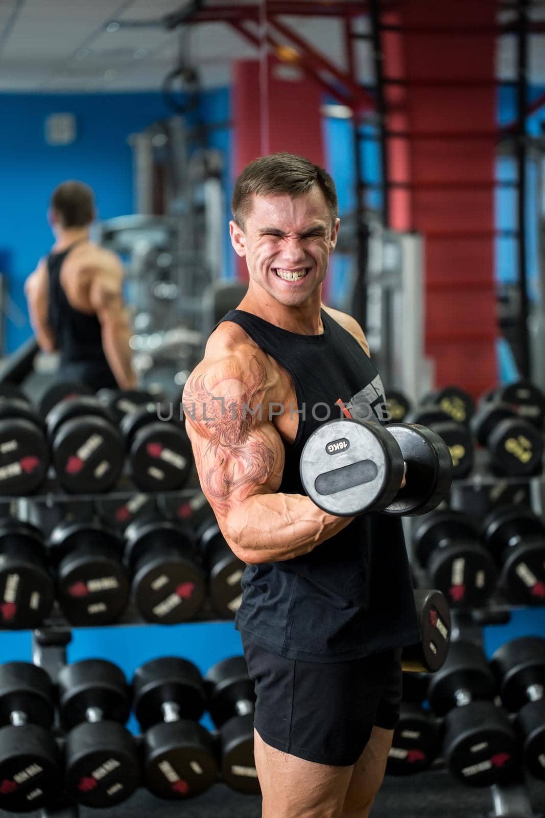 Muscular man working out in gym doing exercises with dumbbells, bodybuilder male