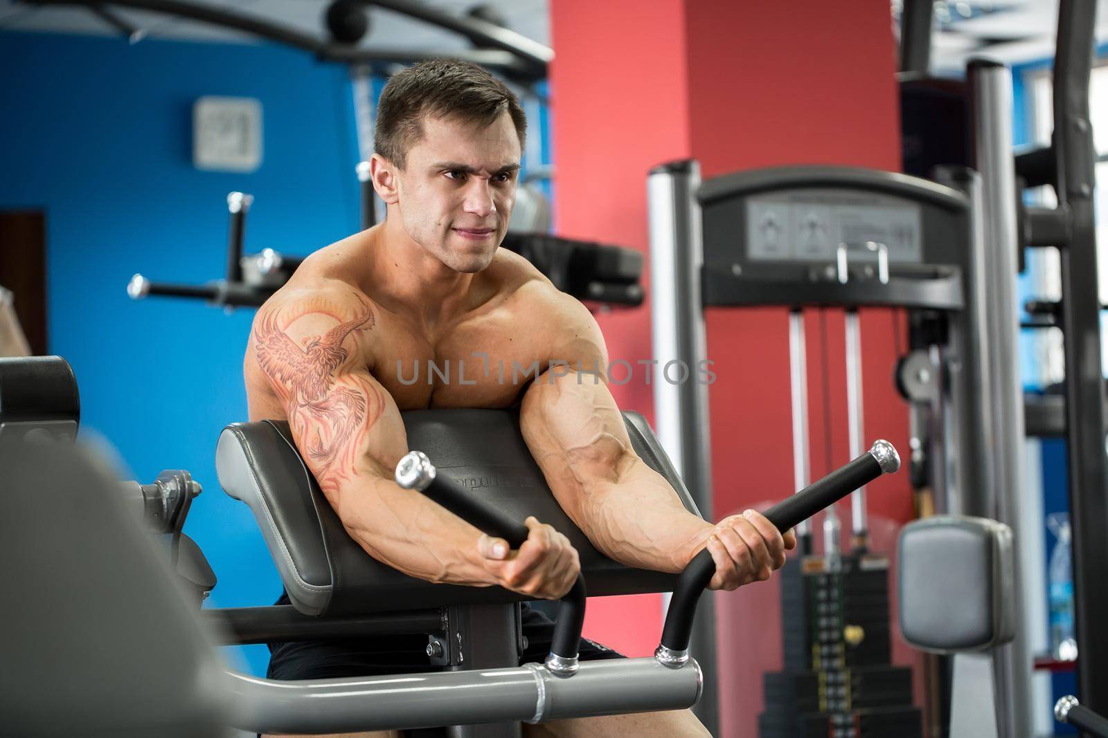 Exercise For Biceps. Young Bodybuilder Doing Heavy Weight Exercise For Biceps. by StudioPeace