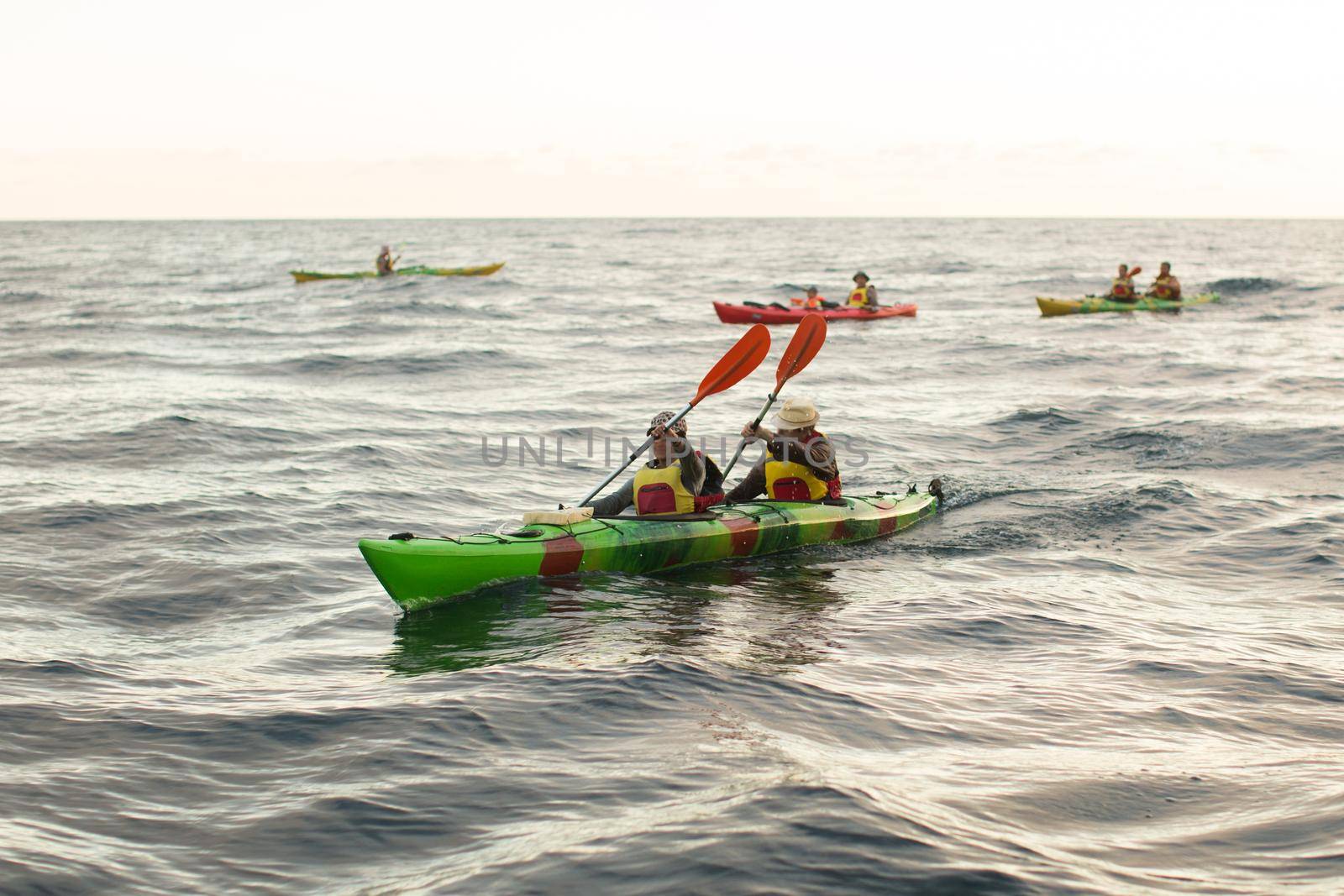 Kayaks. Canoeing in the sea near the island with mountains. People kayaking in the ocean by StudioPeace