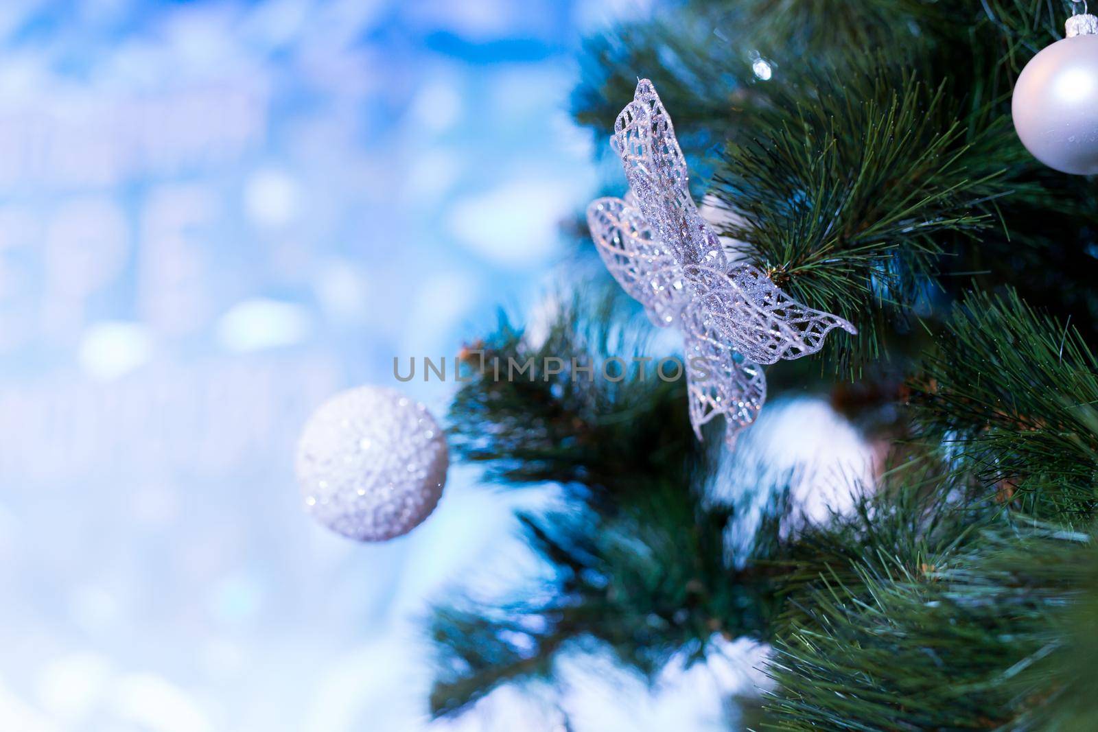Close-up of Christmas decorations on a pine branch by StudioPeace