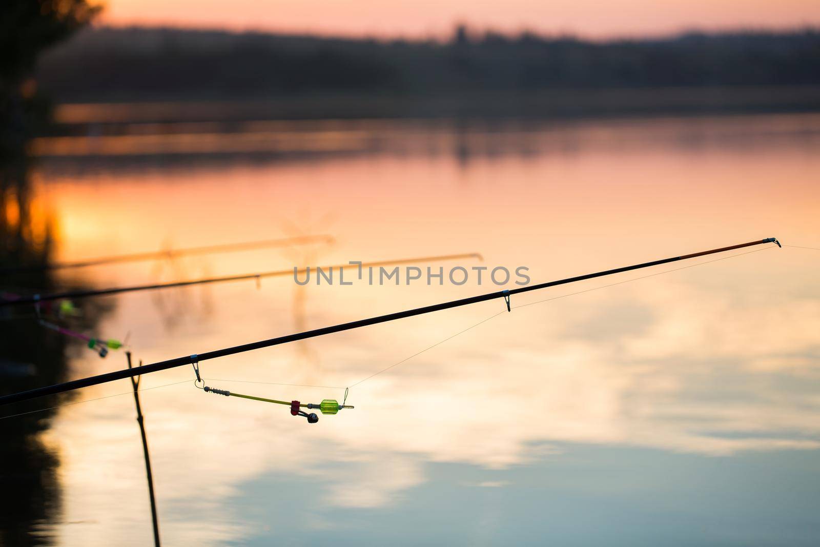 Freshwater fishing with fishing rods on the shore of the pond, lake