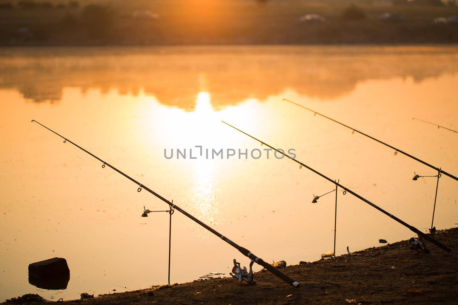 Freshwater fishing with fishing rods on the shore of the pond, lake