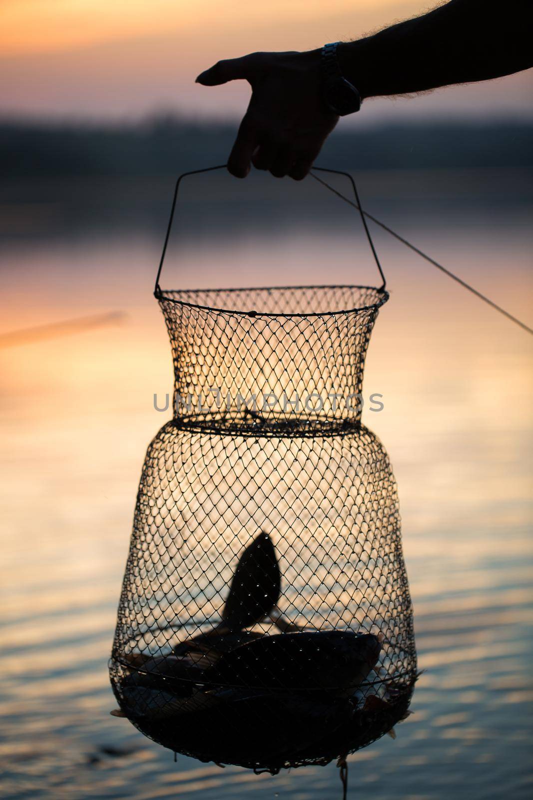 Fishing, raw freshwater fish in the net for the catch by StudioPeace