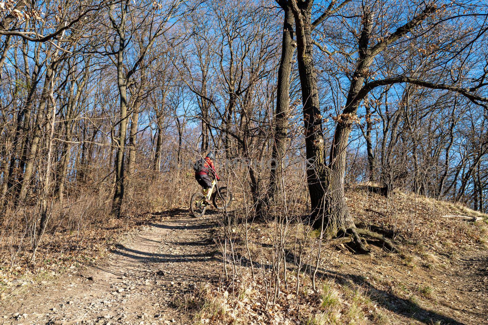 A mountain biker climbs a steep hill on a steep trail in the forest.