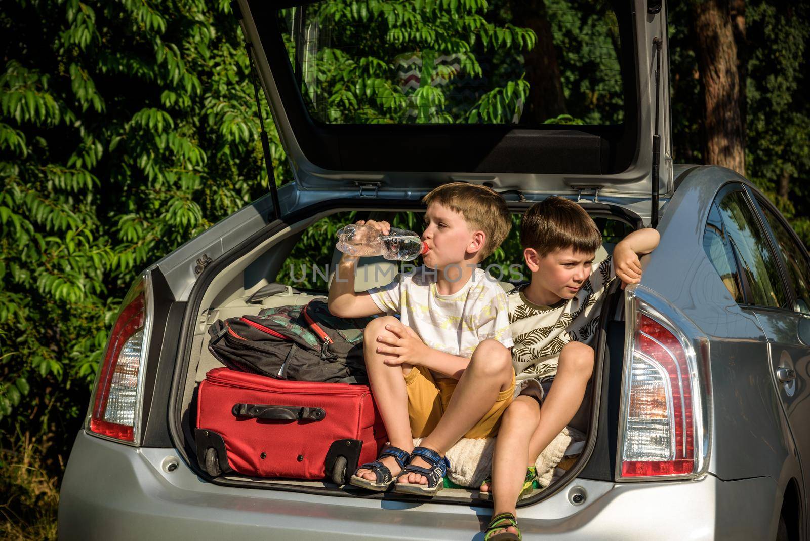 Two cute boys sitting in a car trunk before going on vacations with their parents. Two kids looking forward for a road trip or travel. Summer break at school. Family travel by car by Kobysh