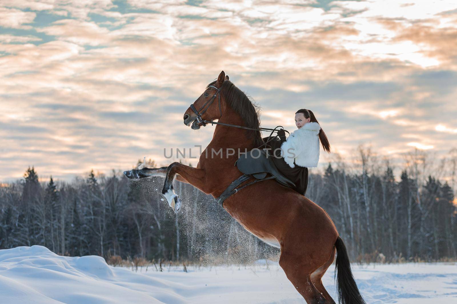 A girl in a white cloak rides a brown horse in winter. Golden hour, setting sun. The horse rears up.