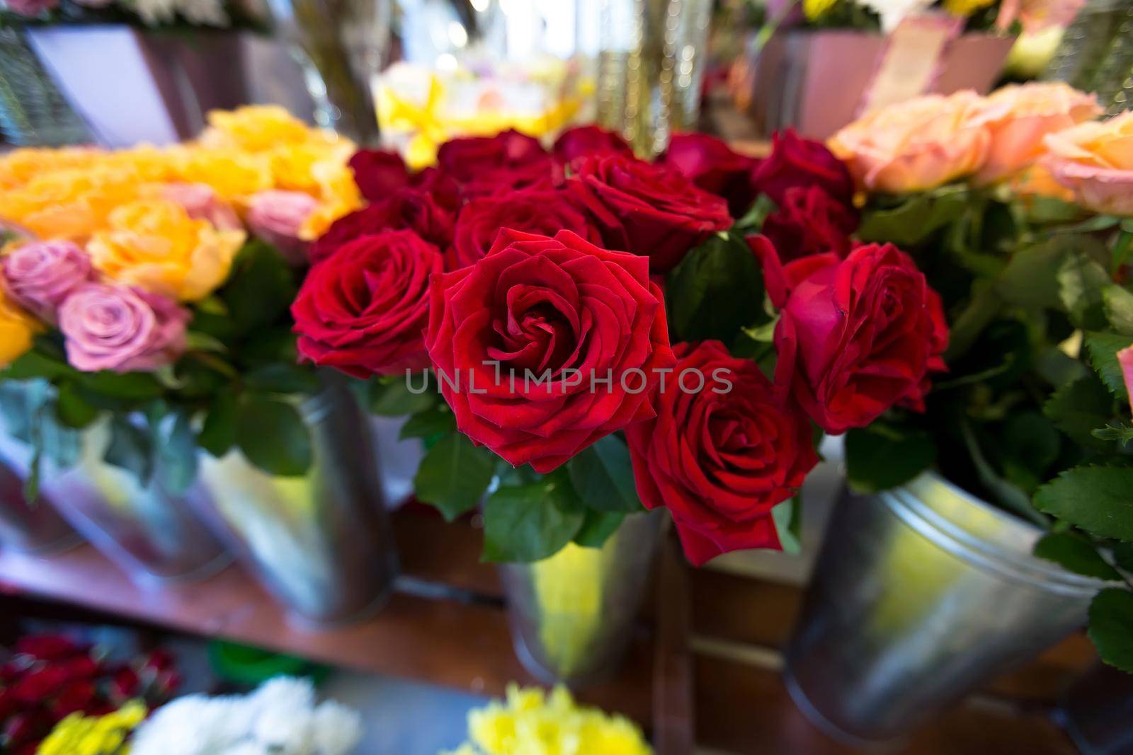 Beautiful colorful flowers in a flower shop