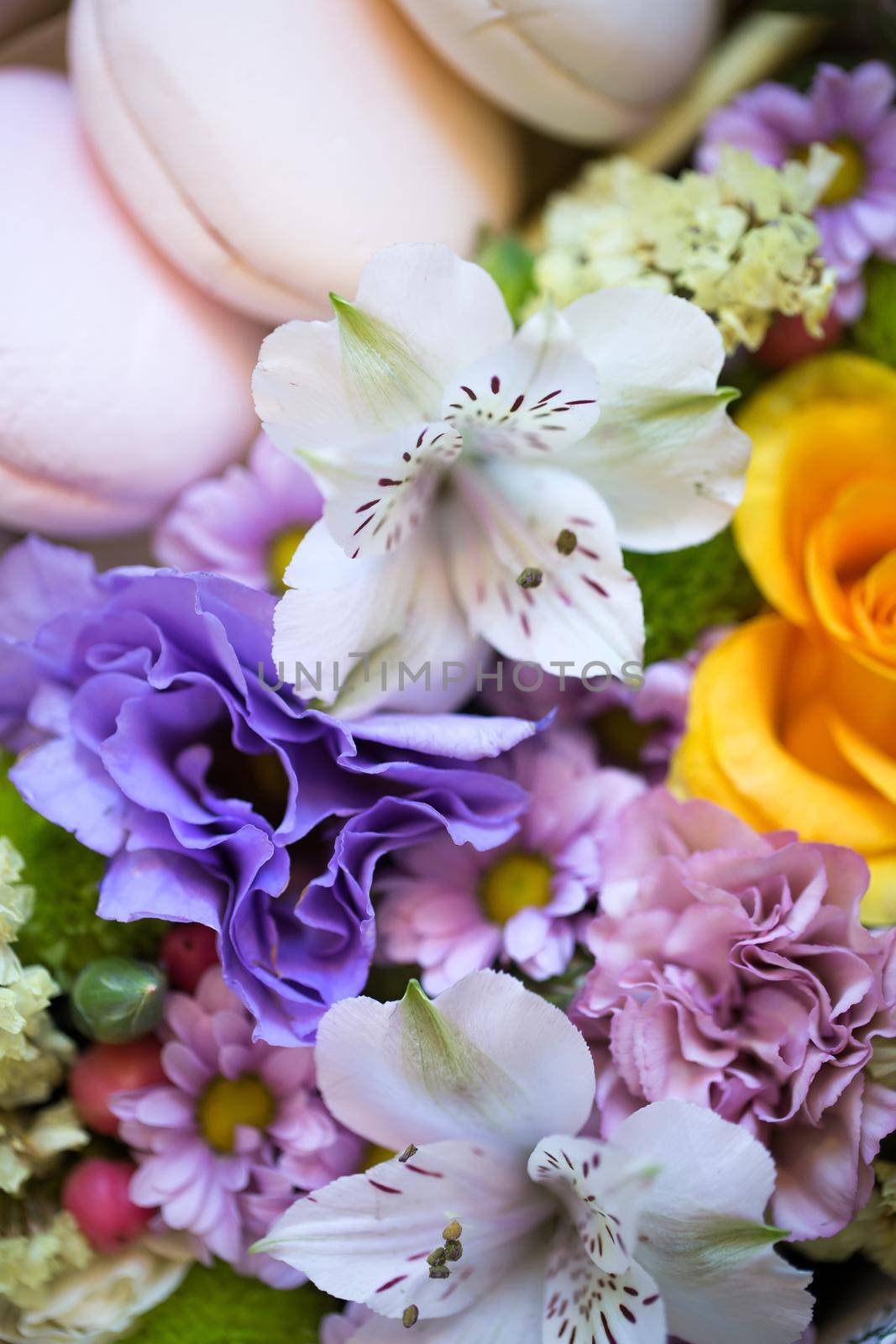 Beautiful colorful flowers in a flower shop. by StudioPeace