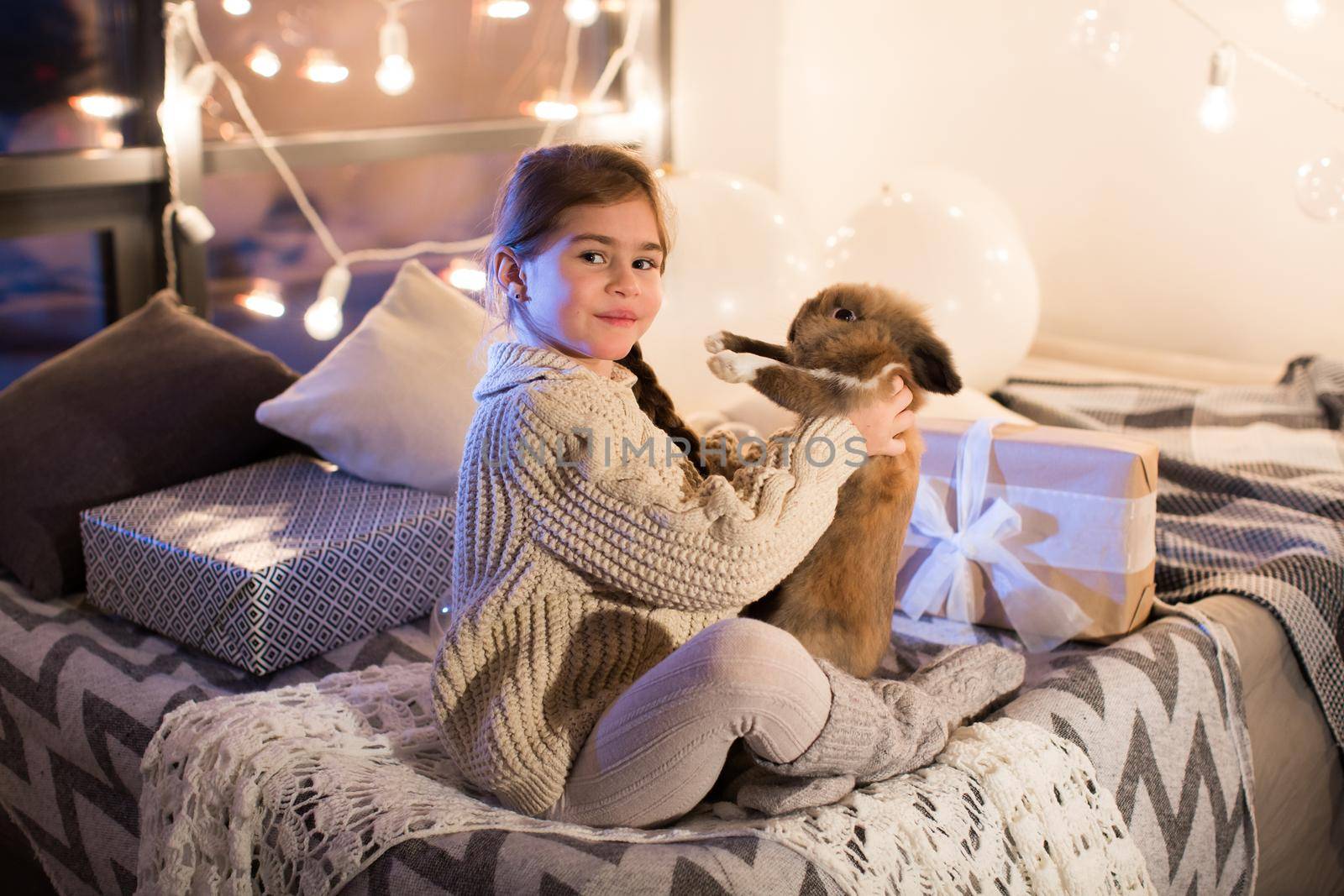 Very beautiful and charming little dark-haired girl in white sweater holds a live rabbit in the interior of the house. New year. Christmas. Hare. Studio by StudioPeace