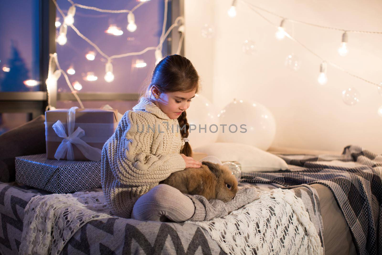 Very beautiful and charming little dark-haired girl in white sweater holds a live rabbit in the interior of the house. New year. Christmas. Hare. Studio.