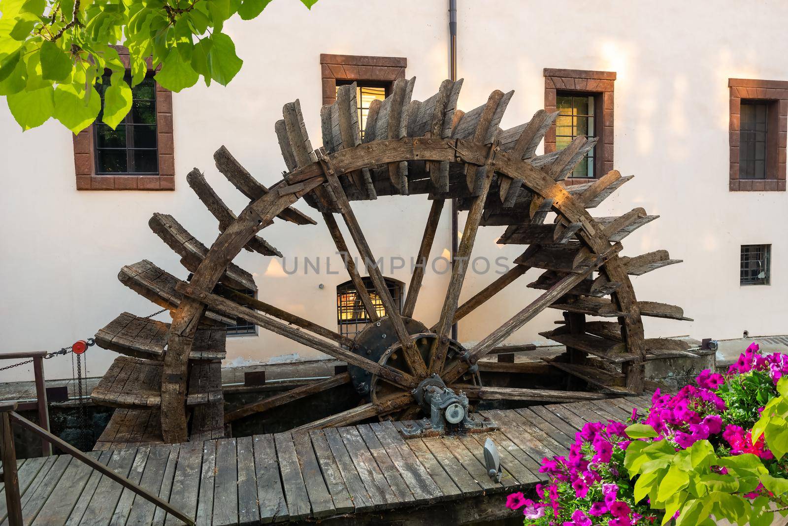 Wooden mill and flower by Givaga