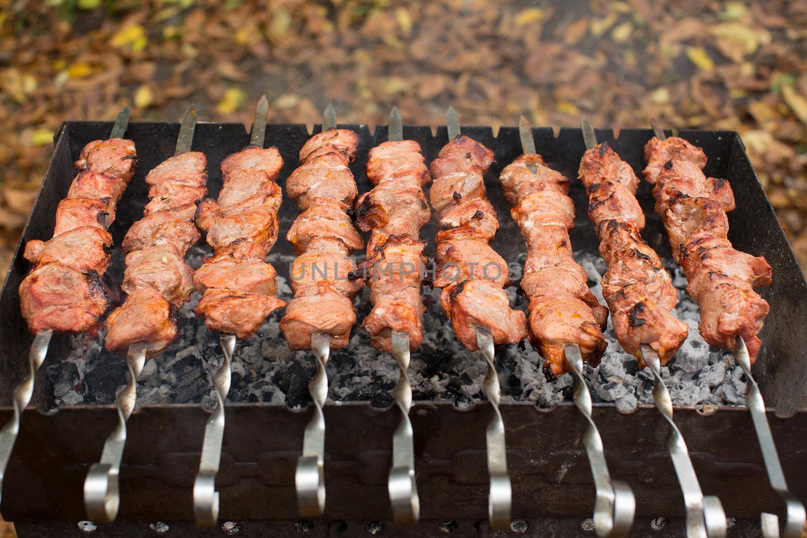 Meat roasted on fire barbecue kebabs on the grill