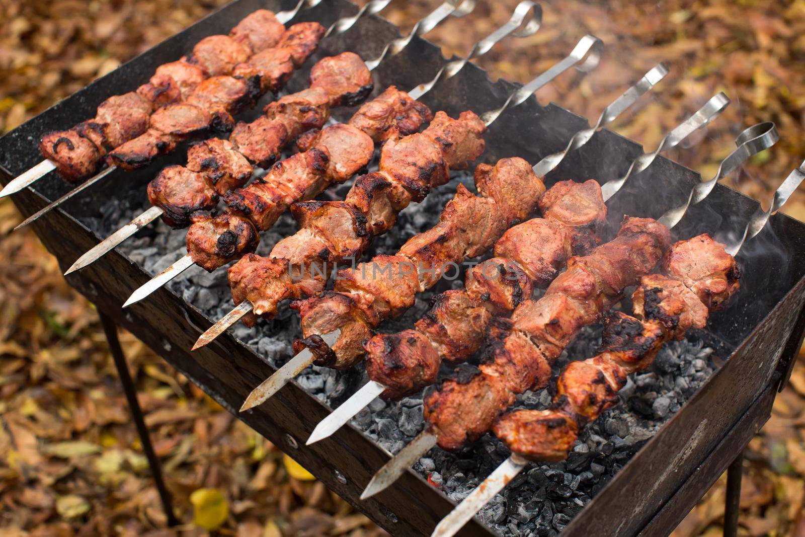 Meat roasted on fire barbecue kebabs on the grill. by StudioPeace