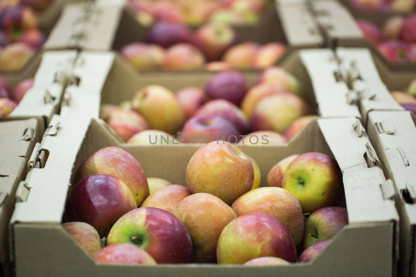 apples are on display in boxes in the supermarket