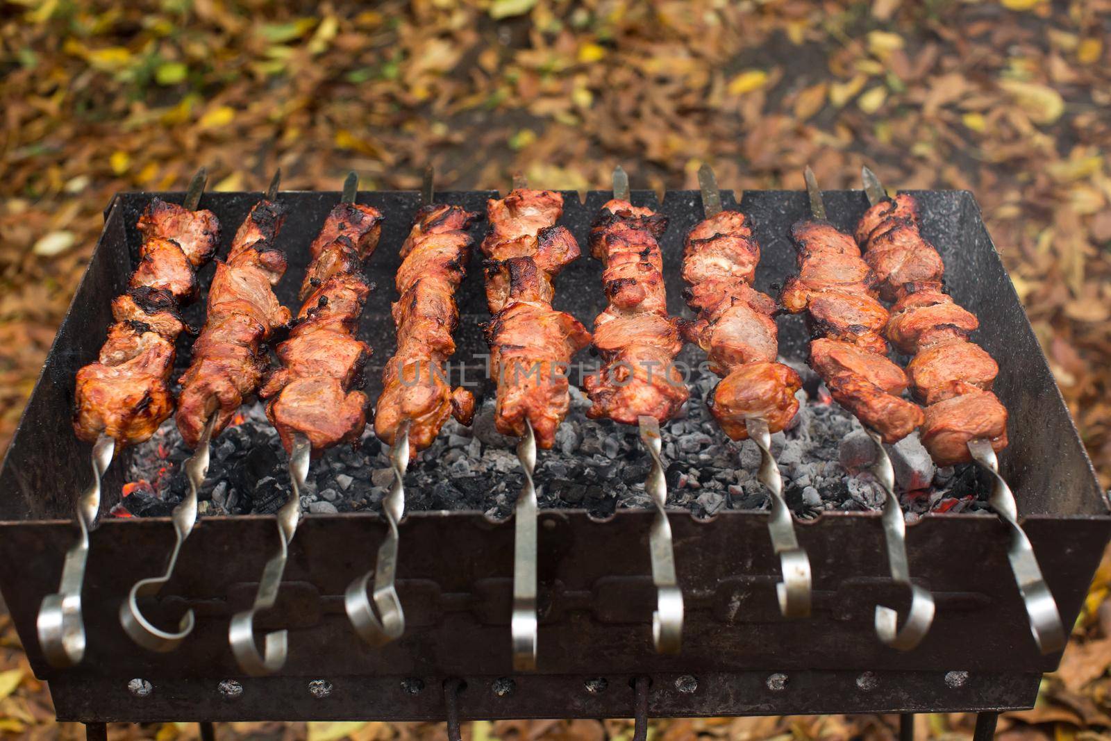 Meat roasted on fire barbecue kebabs on the grill