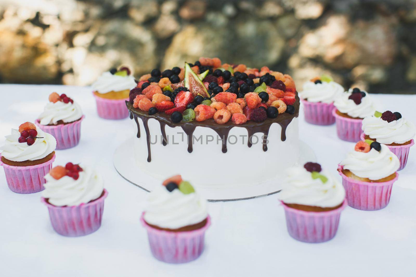 Delicious fruit cake with cupcakes for a happy birthday. by StudioPeace