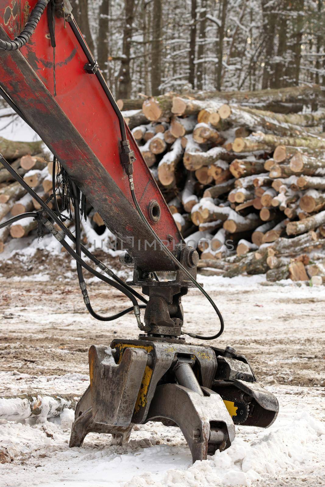 Close up of Log Grapple on Knuckleboom Log loader with Freshly Harvested and piled timber logs by Forest in Winter. High quality photo.