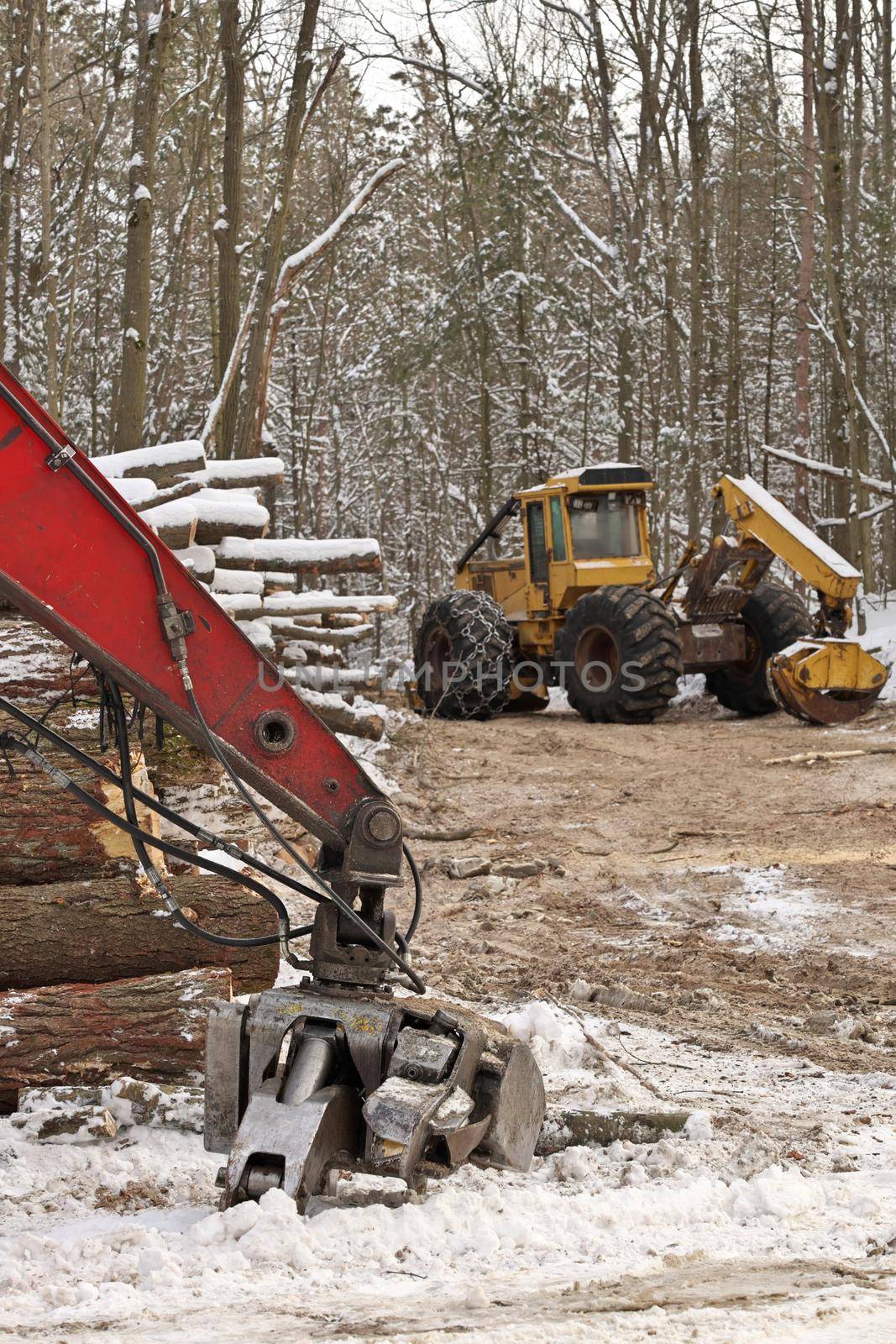 Log or Logging Skidder and Knuckleboom loader with Freshly Harvested and piled timber logs by markvandam