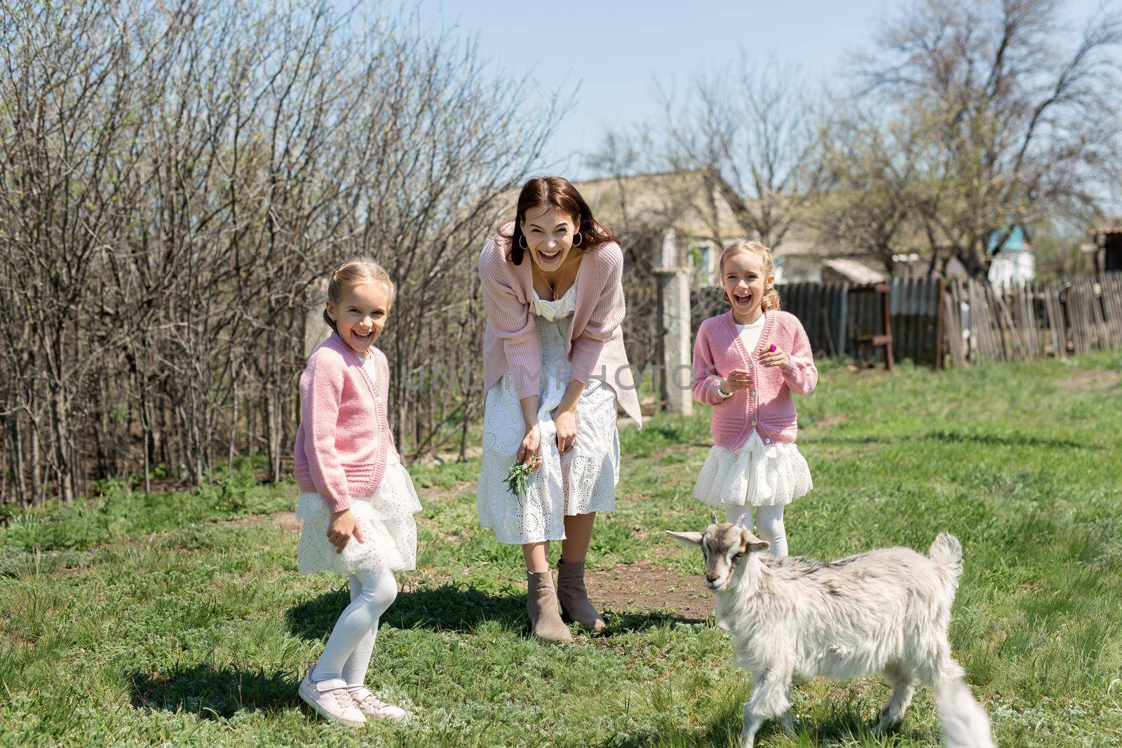 Mother with her young twin daughters feeds a goat in a meadow in the village.