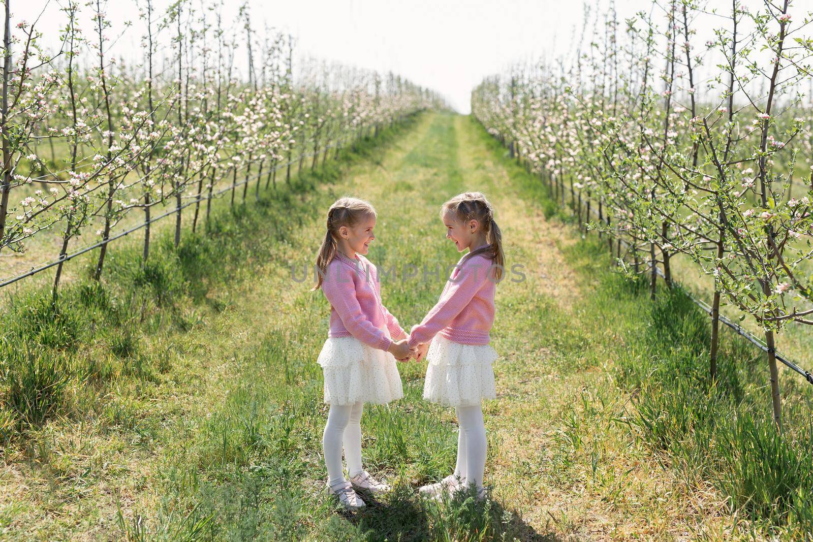 Happy twin sisters look at each other and hold hands against the background of a green blooming Apple orchard.